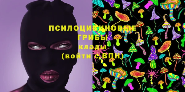 круглые Арсеньев